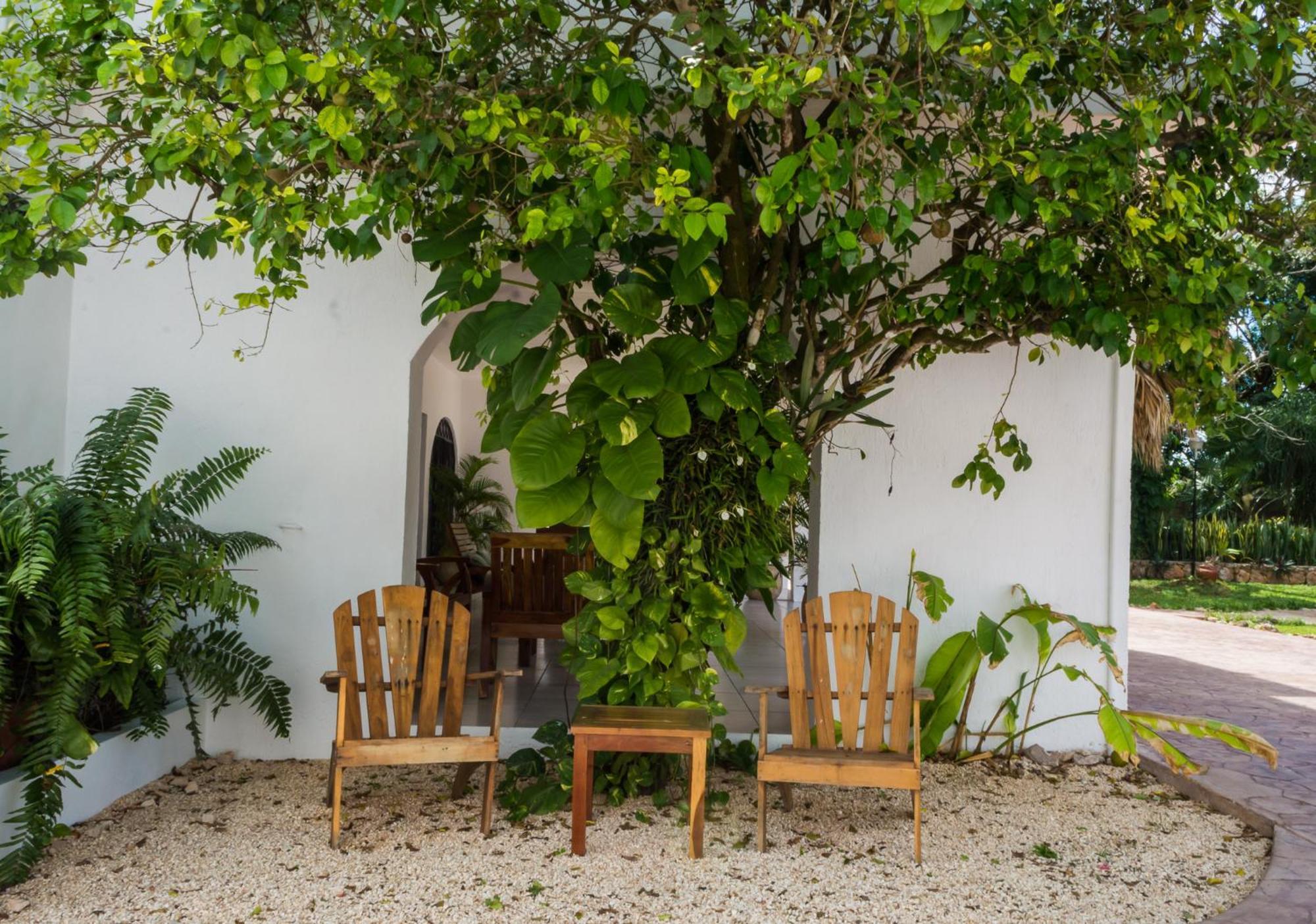Hotel Boutique Casa Xaan Valladolid  Dış mekan fotoğraf
