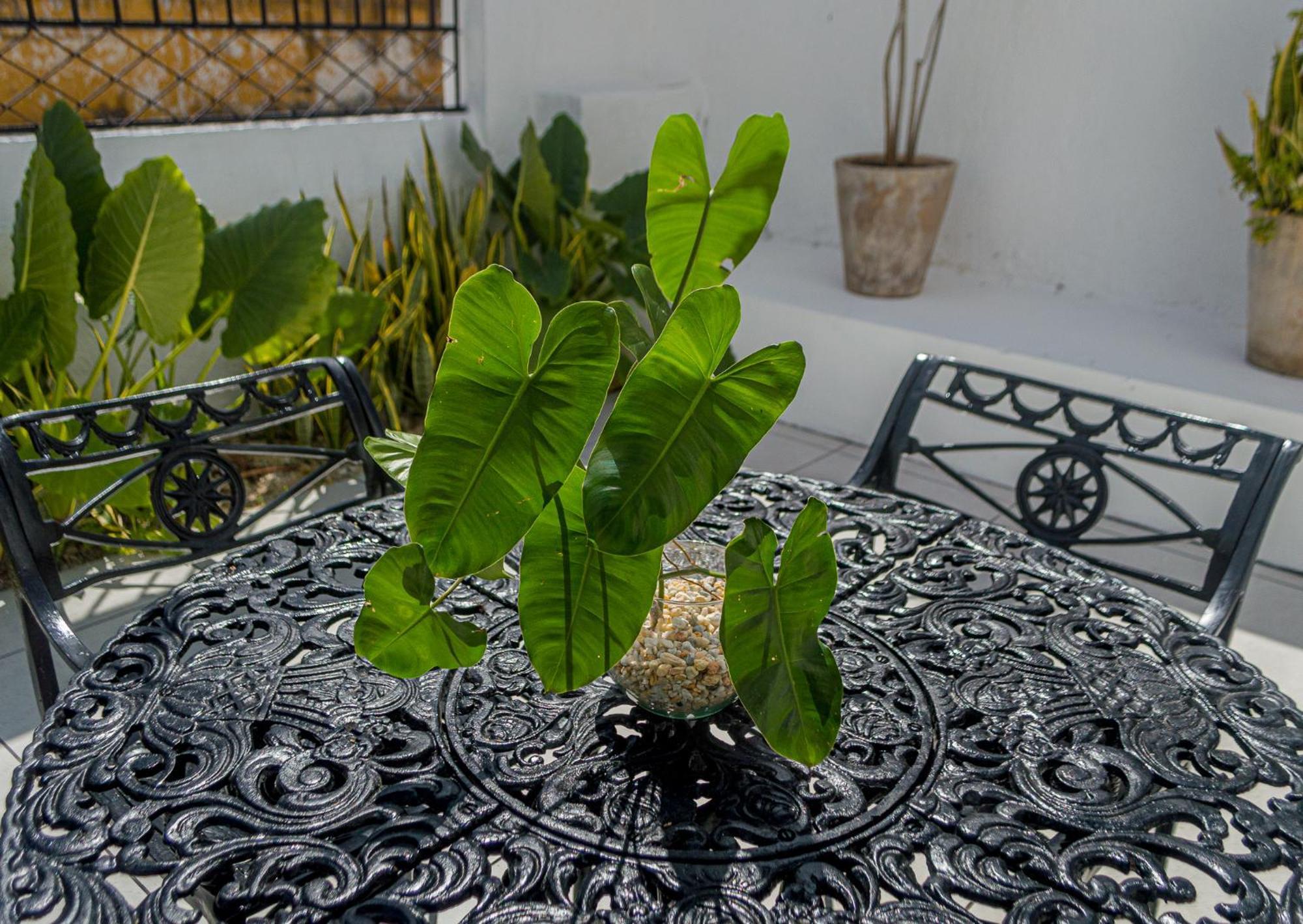 Hotel Boutique Casa Xaan Valladolid  Dış mekan fotoğraf